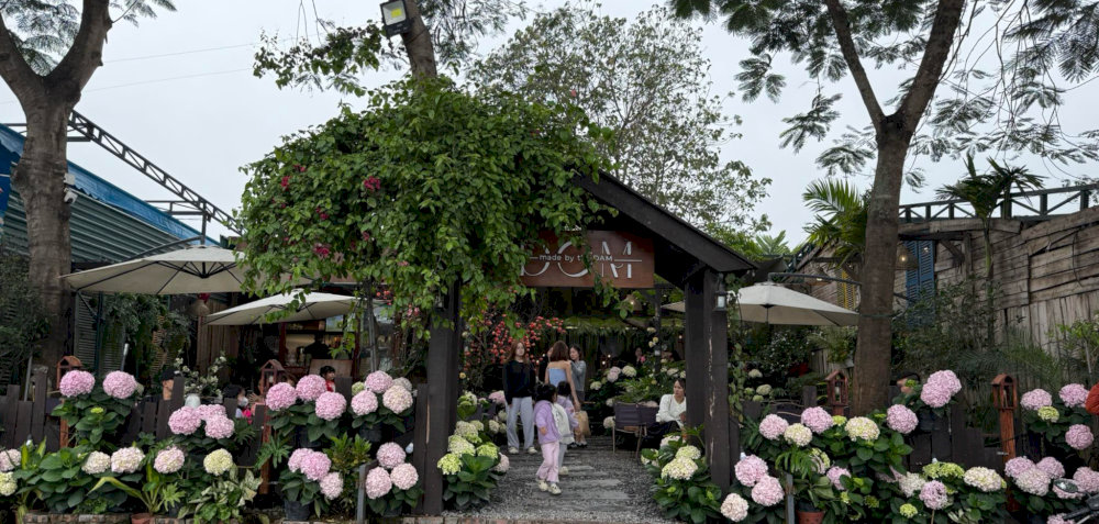 The DOM Cafe